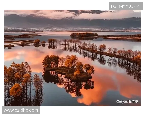 沐浴着冬日暖阳,咱们赢得成功